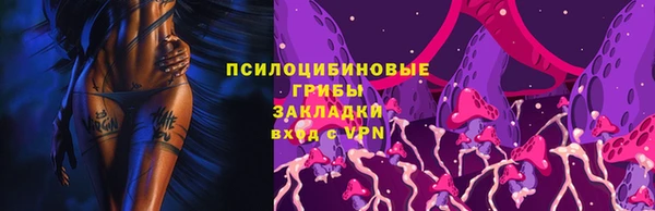 винт Аркадак