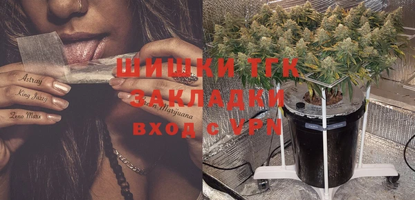 винт Аркадак